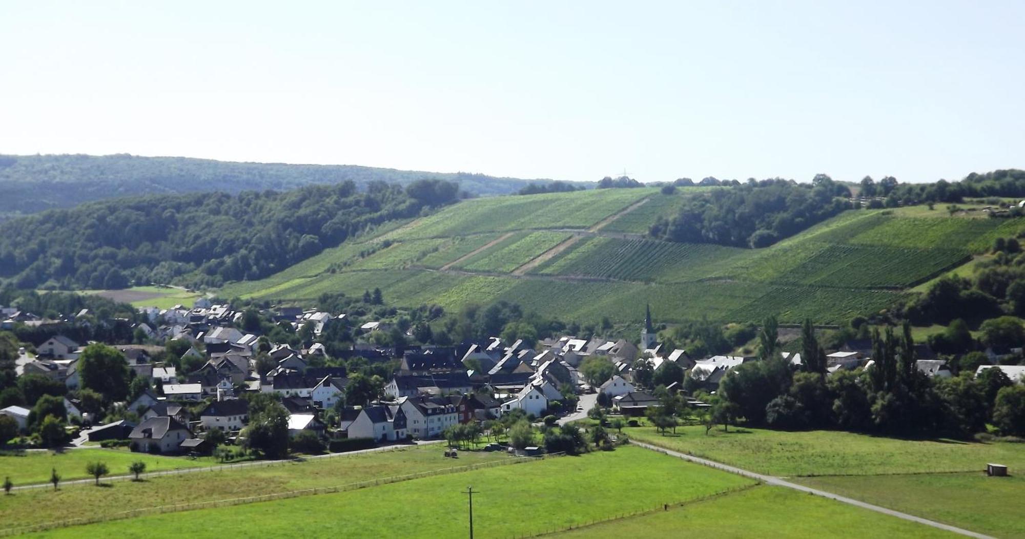 Burgen Ferienweingut & Gutsrestaurant Beckerアパートメント エクステリア 写真